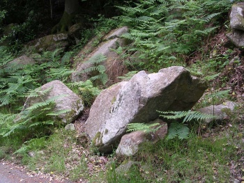 Les grosses pierres en réserve pour le coté gauche 