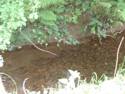 le ruisseau
