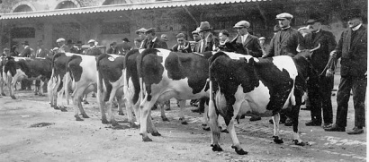 Concours agricole dans les années 1930