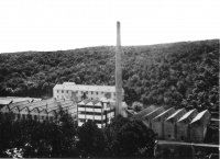 Bolloré Or Cascadec