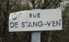 Stang Venn 1